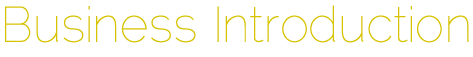 Business Introduction